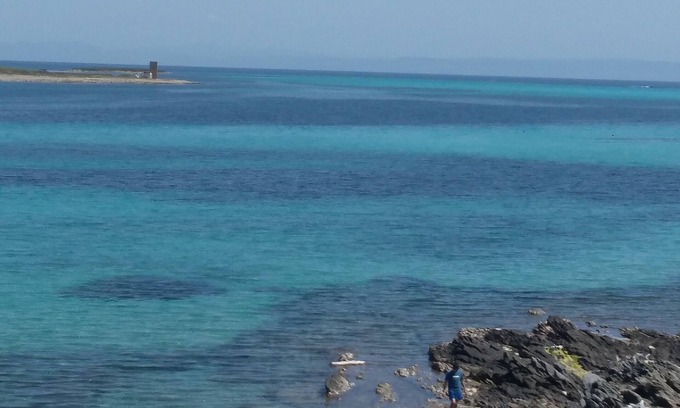 Lu Bagnu Apartment | 20 meters from the sea nice apartment in residence with swimming pool