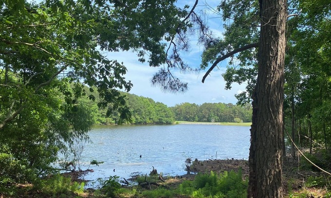 Harbinger House | 3 Br/2 Bath Waterfront Vacation Home-Pet Friendly