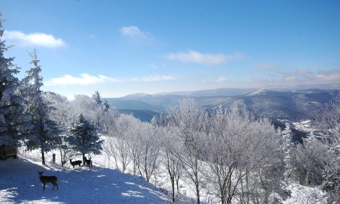 Snowshoe Condo | 3 BR Condo: Your Cozy Mountain Retreat