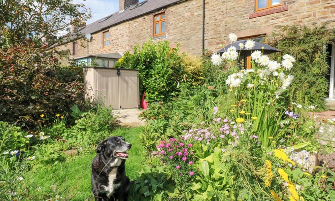 Brampton Cottage | 3 Tindale Terrace