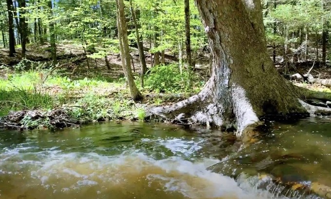 Rhinebeck Cottage | 3Br escape set on winding creek in 130acre forest