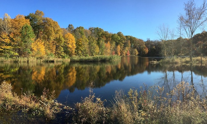 Salt Point House | 4,000 SF Country House on 26 Acres, totally secluded with 9 Acre Pond
