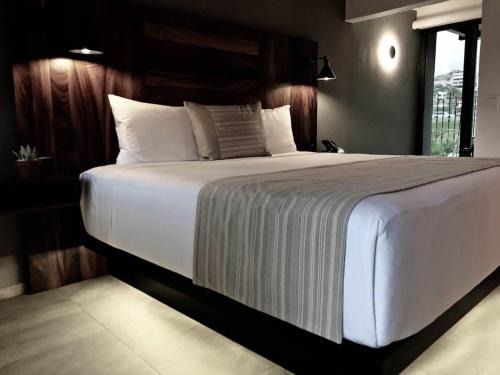 Campo de Golf Fonatur Hotel | 4 Charming Suite King Rooms in Luxurious Boutique Hotel