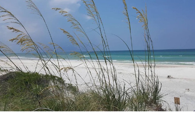 Gulf County RV Rental | 5 miles from the beautiful GULF OF MEXICO! Secluded, private, family campsite!
