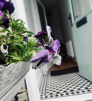 Kinghorn Apartment | 7a Seatreat