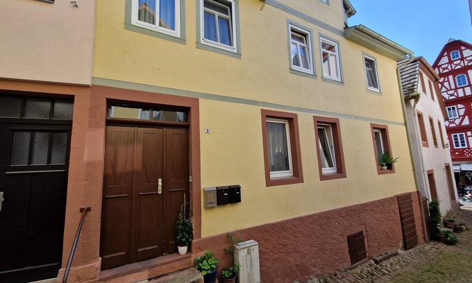 Miltenberg Apartment | 9.riese Dachgeschoss-fewo