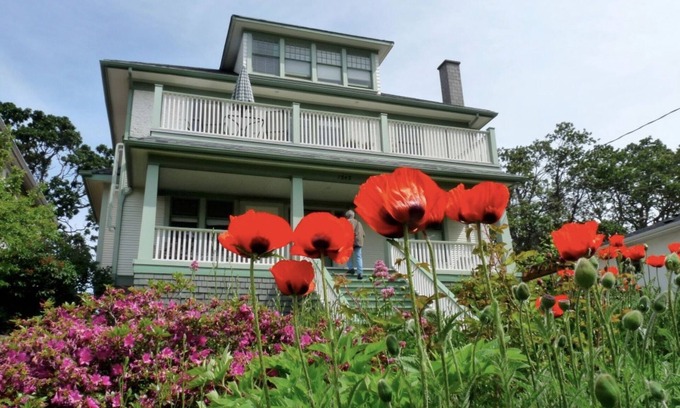 Oaklands Apartment | 90+ nights : Two levels, spacious comfort, uplifting views