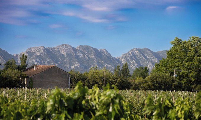 Molleges House | A break between Alpilles and Luberon, houses of saffron and liquorice