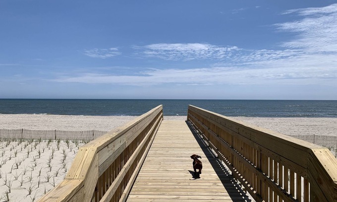 Fire Island Pines House | A Charming Fire Island Pines Beach House Getaway
