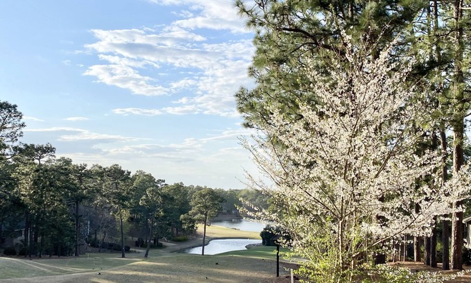 Pinehurst House | A Golf Front, 3 BR, 2BA, 4beds, Sleep 6 on Pinehurst #6