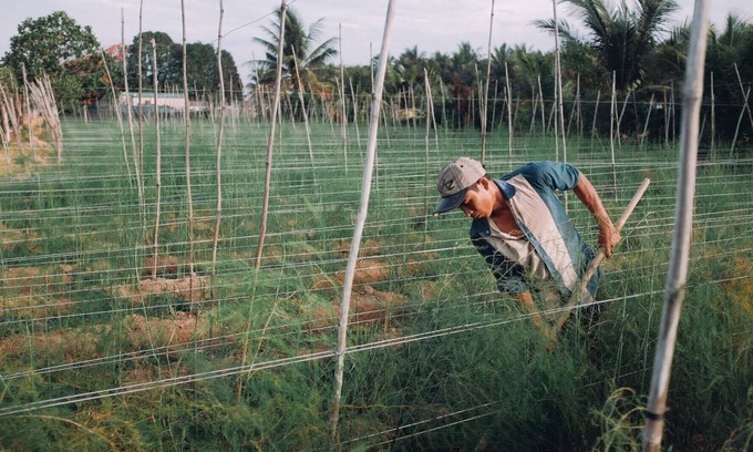 Phan Rang House | A homey homestay in a typical Vietnamese countryside, lovely price.
