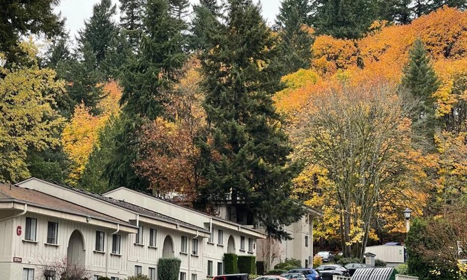 Totem Lake Apartment | A Jewel in Totem Lake Kirkland Washington!