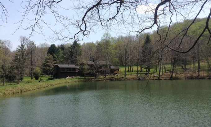 Stahlstown House | A Modern House in a Large Nature Reserve in Ligonier Valley!