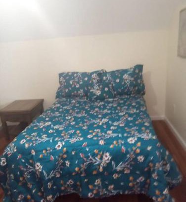 Niskayuna Apartment | a nice one bedroom free parking