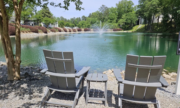 Smyrna Apartment | A peaceful Lake view by The Battery