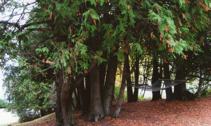 Baileys Harbor Cottage | A Quiet Retreat In Door County Close To The Water, Shops, Eateries And Golf.