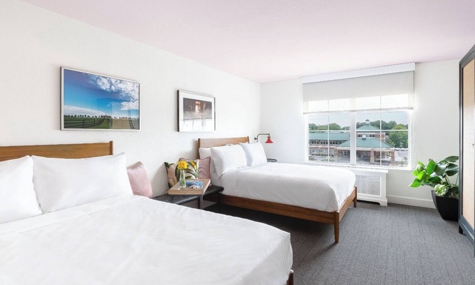Lexington Hotel | Accommodation Right in the Heart of the City | Pets Are Allowed