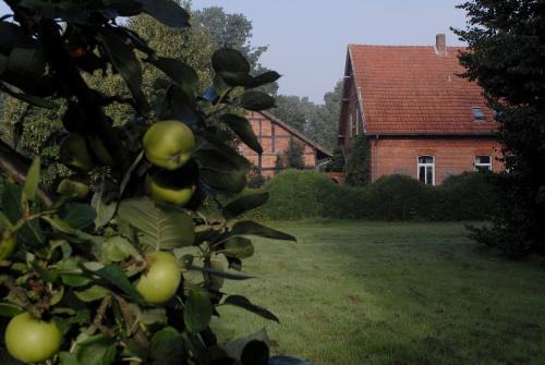 Hilgermissen House | Adelheidshof