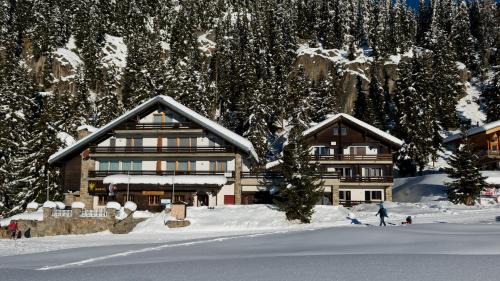 Riederalp Apartment | Adler Residenz 8