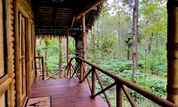 Sulthan Bathery Hotel | Adrak Mountain Mist Forest Resort