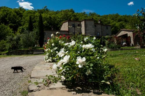 Capolona House | Agriturismo Azienda Agricola Il Pozzo