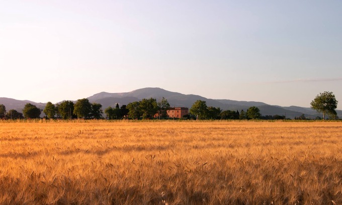 Piombino Other | Agriturismo Il Pescinone - Cipresso, between countryside and sea