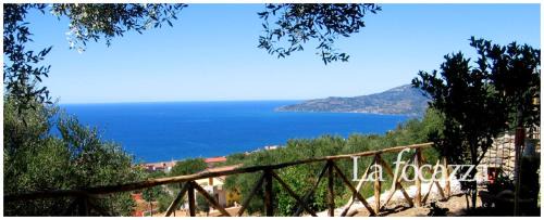 Ascea House | AGRITURISMO La FOCAZZA