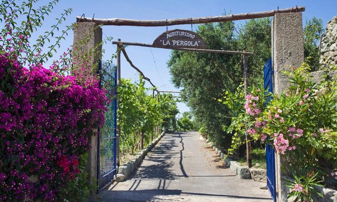 Succhivo House | Agriturismo La Pergola