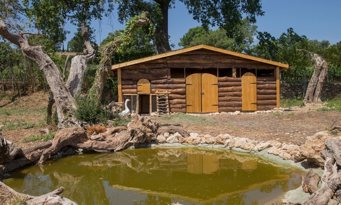 Sarteano Other | Agriturismo Le Anfore