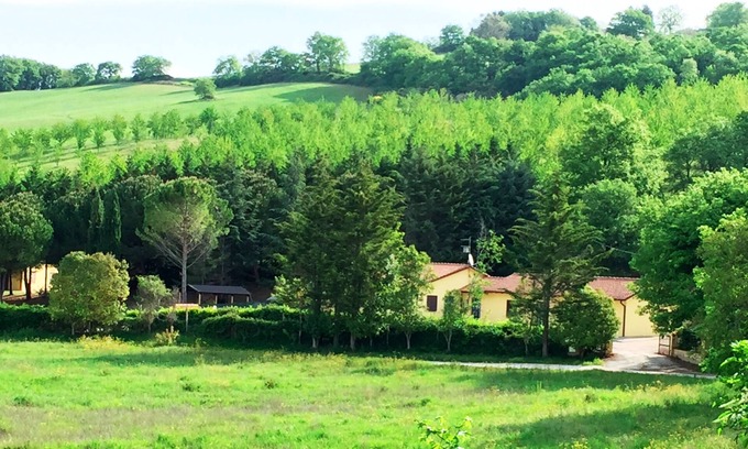 Assisi Other | Agriturismo Under the Hill of Assisi - Apartment "La Quercia" (4)