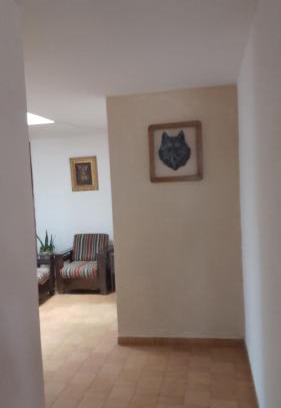 Aguascalientes Apartment | Aguascalientes feria nacional de San Marcos