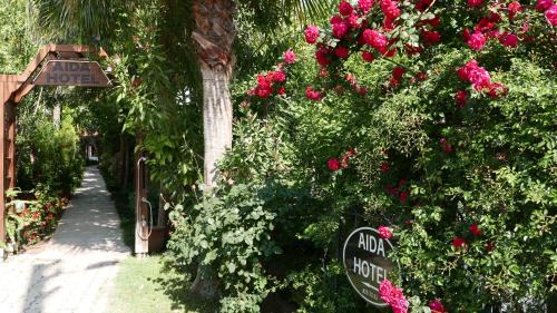 Cirali Hotel | Aida Hotel