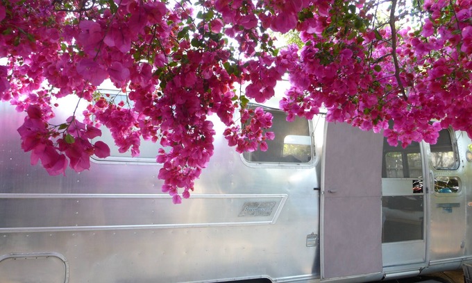 Mar Vista House | AIRSTREAM backyard private glamping Mar Vista GATED yard outdoor HOT shower