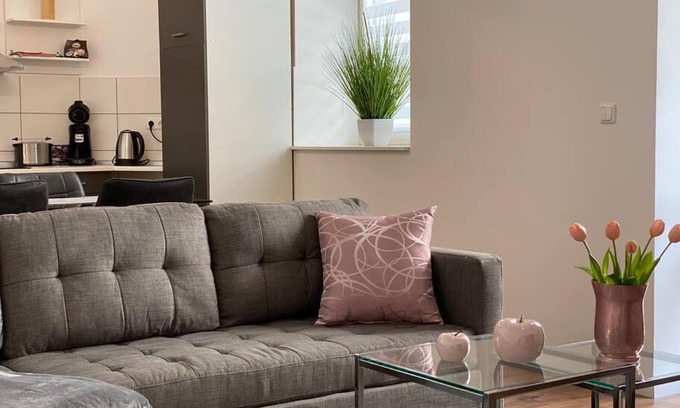 Hasselbachplatzviertel Apartment | AKK3 Apartment Magdeburg Altstadt Zentral Balkon