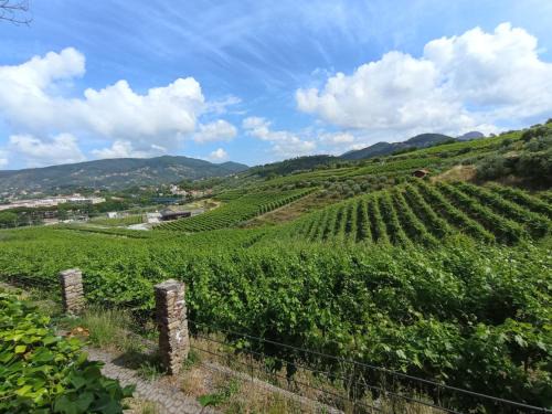 Riva Trigoso Apartment | Al VIgneto