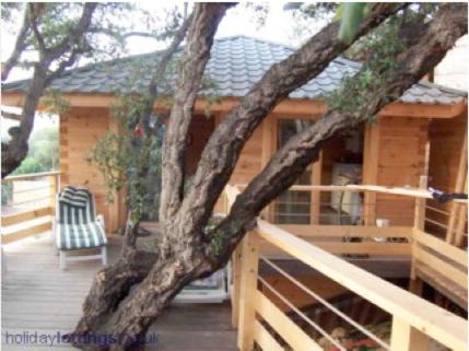 Oletta House | Albaria Lodge