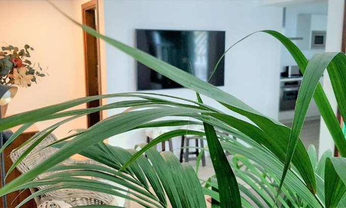 Playa Honda House | ALIZUTH HOME
