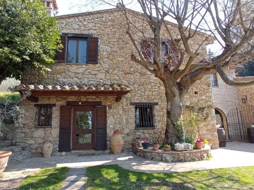 Assisi House | All'Ombra di San Damiano