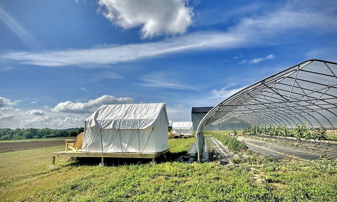 Spring Hill RV Rental | Allenbrooke Farms Glamping Tent 1