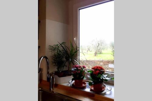 Bagno a Ripoli Apartment | Allie's flat