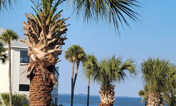 Beachwalk House | Aloha & views- steps to the beach AND Golf Cart!