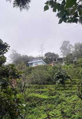 Kanthalloor House | Alpine Fruits Dale Kanthalloor