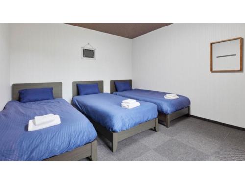 Amami Hotel | AMA TERRACE - Vacation STAY 31164v