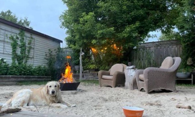 Sauble Beach Cottage | Amazing Location, Close To The Downtown Sauble