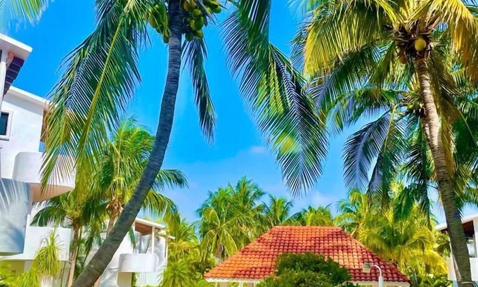 Zona Hotelera Condo | Amazing Private Condo - Quiet, Safe and ONLY 200 yards to Beach