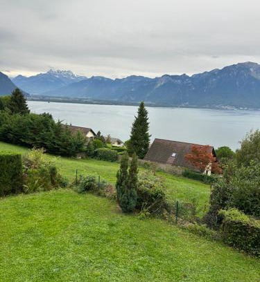 Chernex Apartment | amazing view apartment