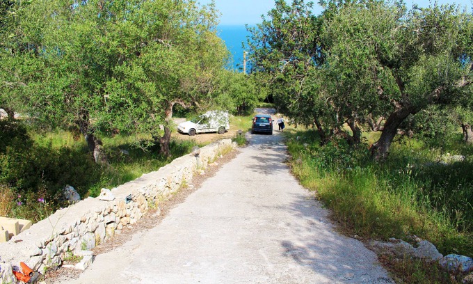 Corsano House | Among the Olive Trees 651