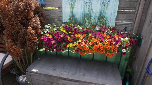 Scheldebuurt Bed & Breakfast | Amsterdam Roof Terrace B&B