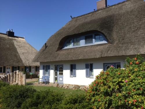 Born auf dem Darss House | An der Sonne