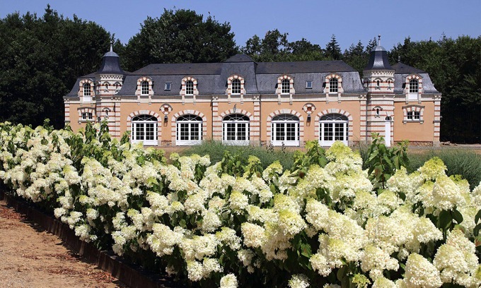 Durtal House | An exceptional gite in the Loire Valley, ideal for families